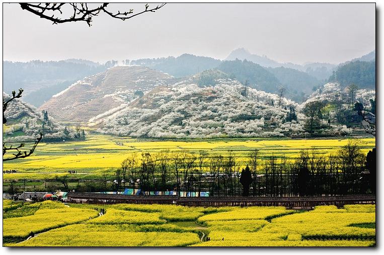 金海雪山旅游.jpg